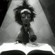 Avatar photo
